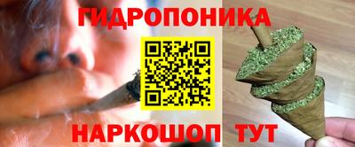 индика Набережные Челны