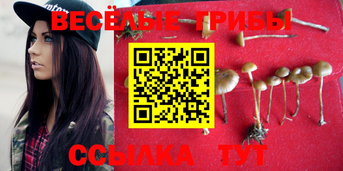 Псилоцибиновые грибы прущие грибы Абинск