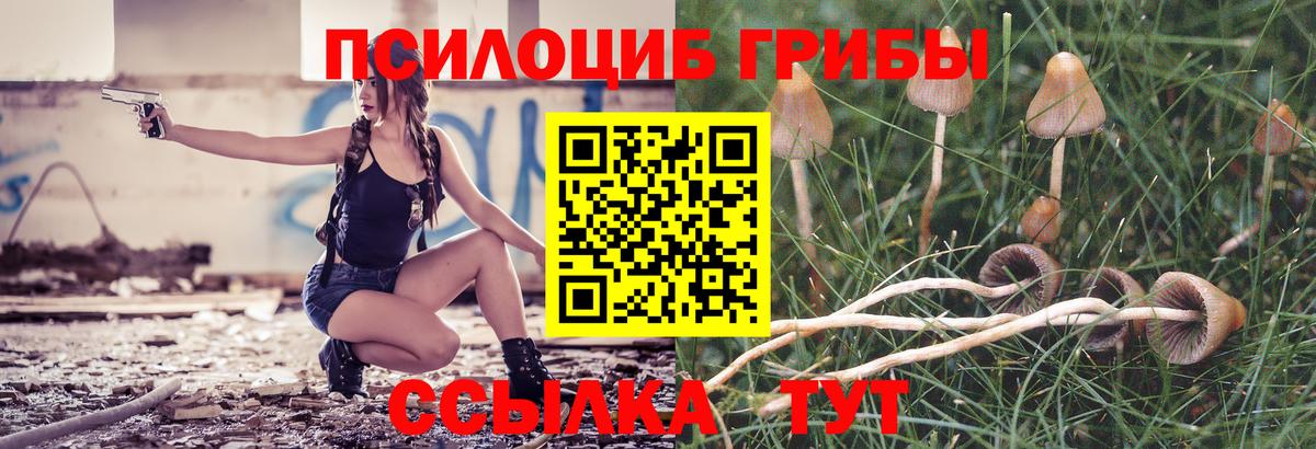 Галлюциногенные грибы мицелий  Псилоцибиновые грибы Cubensis  Вход с VPN  Абинск 