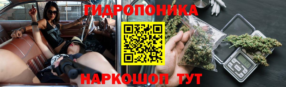 Канабис конопля Абинск